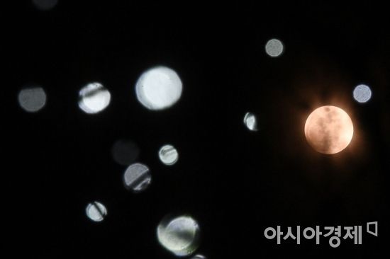 슈퍼문과 블루문, 블러드문을 한번에 관측할 수 있는 31일 서울 도심 하늘에 슈퍼문이 관측되고 있다./강진형 기자aymsdream@(기사와는 무관)
