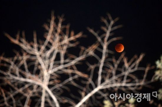 [포토]'오늘 서울의 달은 붉다'