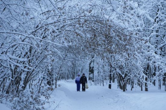 [포토]눈으로 뒤덮인 '모스크바'