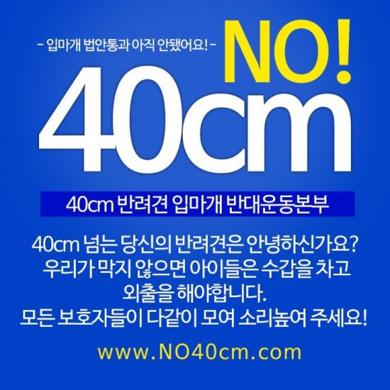 체고 40cm 이상 반려견 입마개 착용 의무화 논란…견주들 반대 운동 이어져