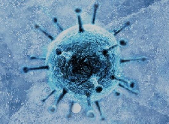 겨울철 노로바이러스 감염 주의…11월부터 발생 증가