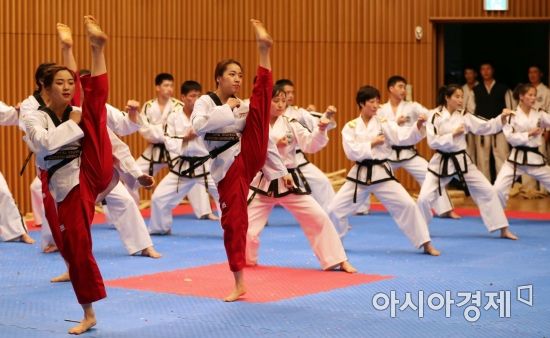 "태권도가 Korean Karate?"..韓문화 바로 알린다