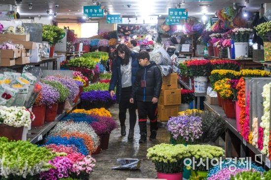 [포토] 봄 맞이 끝낸 꽃시장