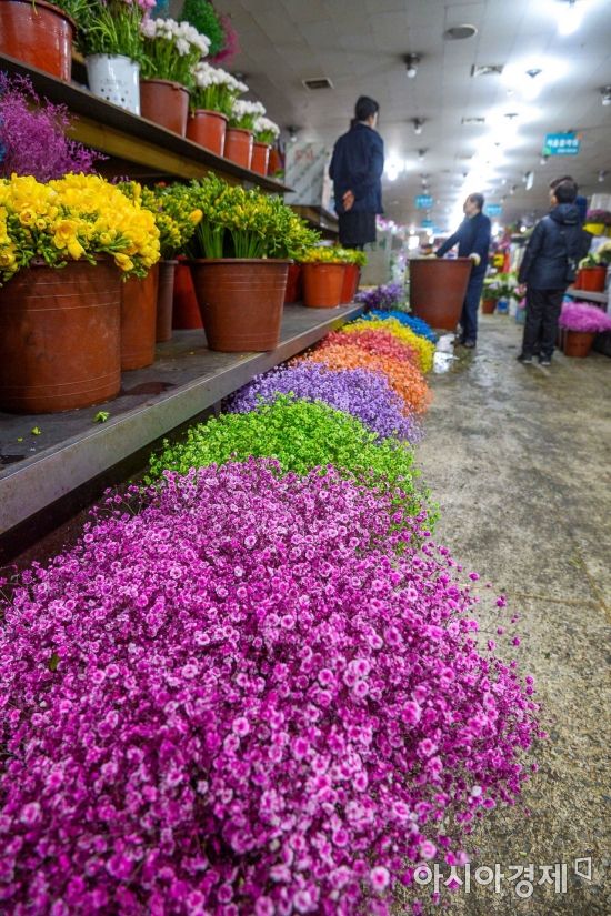 [포토] '우수' 손님 기다리는 꽃시장