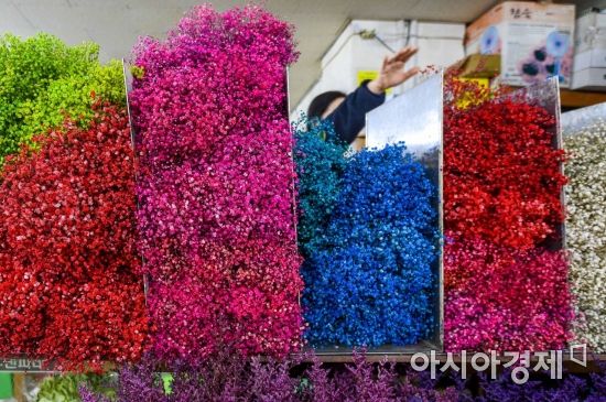 [포토] '봄을 손에 넣다'