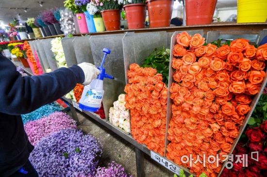 [포토] 봄 정취 물씬 풍기는 꽃시장