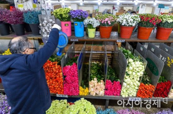 [포토] 봄내음 물씬 풍기는 꽃시장