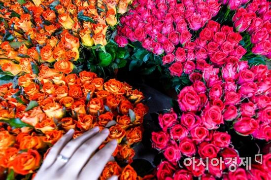 [포토] '봄을 만지다'