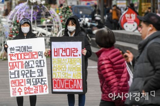 [포토] '그 많은 돼지는 어디에?'