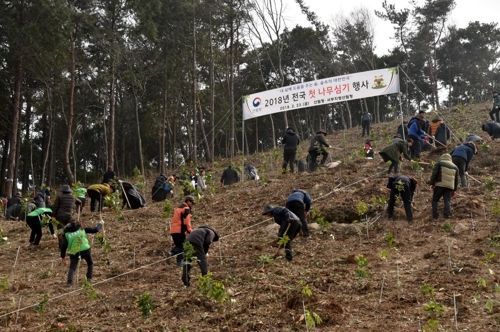 산림청 전국 첫 나무심기 행사…완도에 황칠나무 1000그루