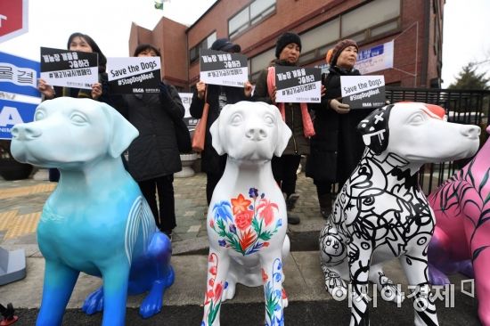 지난해 개최된 개고기 금지 캠페인 '꽃개 프로젝트' (출처: 동물해방물결)