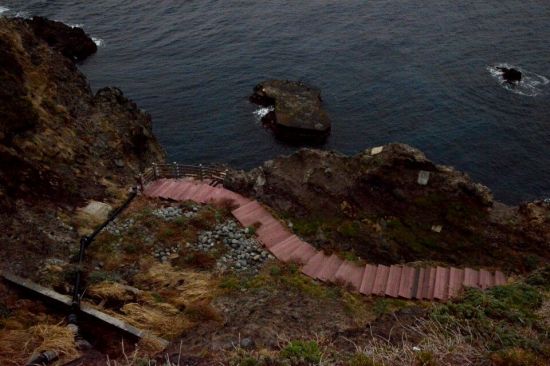 [화보]3·1절 99주년, 독도에 찾아 온 봄