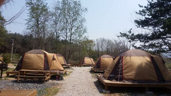 사진 속 장소는 기사 내용과 무관