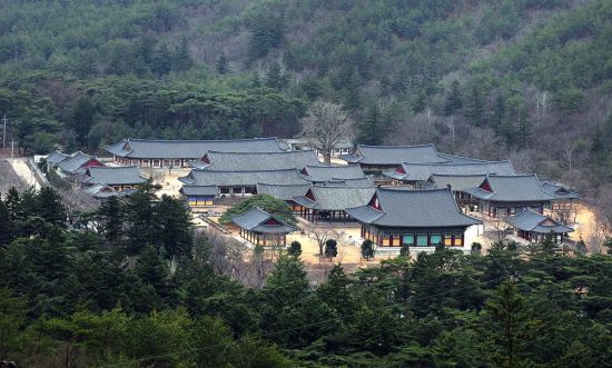 [여행만리]돌계단 용 밟고 서면 절집 풍경소리에 봄바람 실려온다 