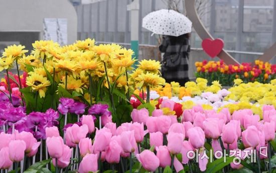 [오늘 날씨] 19일 날씨, 전국 흐리고 비…밤에 대부분 그쳐