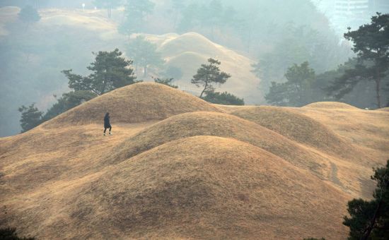 [조용준의 여행만리]고분들 봄햇살 받으며, '철의 왕국' 대가야 魂 깨어난다