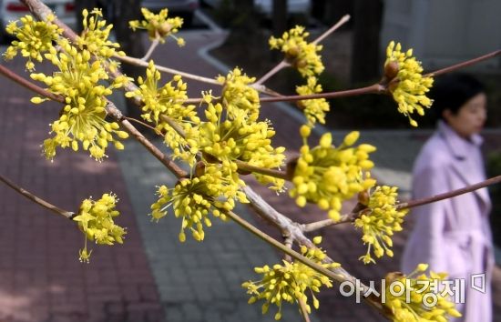 [포토] '서울의 봄'