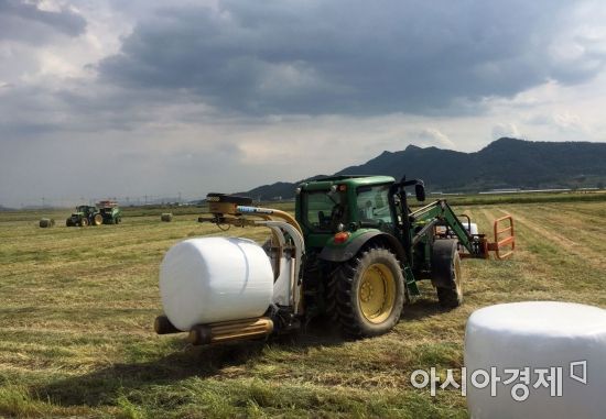 보성군, 2018년 축산사업에 120억 원 투입