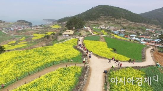 완도군, 내달 7일부터 ‘청산도 슬로걷기 축제’ 개최