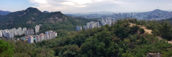 서울 안산에서 내려다 본 도시 숲 경관. 국립산림과학원 제공