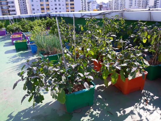 노원구 상자텃밭 2500개 분양 