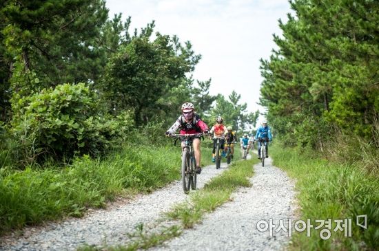 신안군, 전국 최초 자전거 여행객 대상 보험가입 완료
