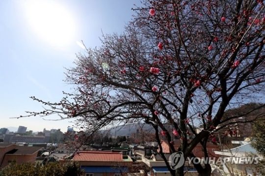 사진=연합뉴스