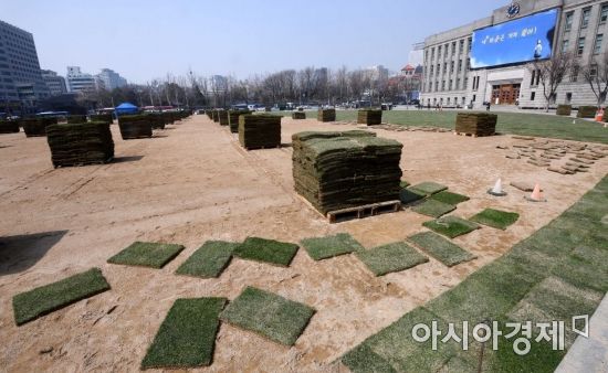[포토] 새 잔디 식재되는 서울광장