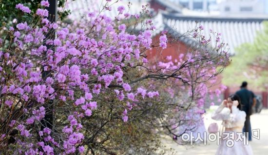 [날씨] 4월 첫 월요일 봄기운 물씬… 한낮 기온 20도↑
