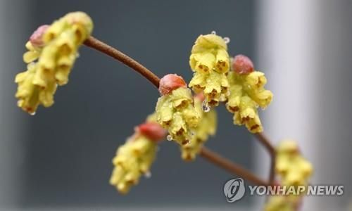 [오늘 날씨] 전국 흐리고 비…서울 낮 최고 18도