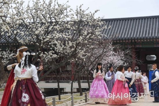 [포토] 고궁에 찾아온 봄