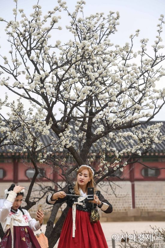 [포토] 봄나무 앞에서 꽃단장