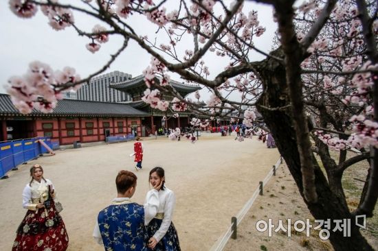 [포토] '벚꽃아래서'