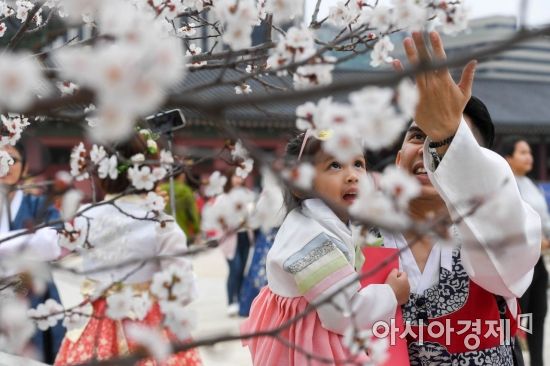 [포토] 한국의 봄 만끽하는 관광객