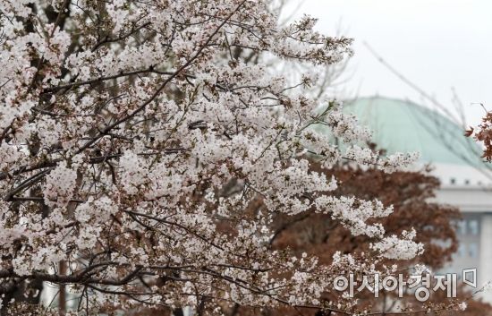 [포토] '4월 국회 시작, 봄이 올까?'
