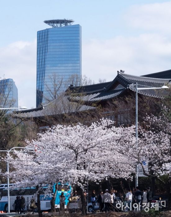 [포토] 빌딩과 기와, 그리고 벚꽃