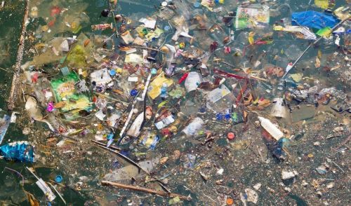 [신조어사전] 마이크로플라스틱(Microplastic) - 턱밑까지 쫓아온 재활용 쓰레기의 역습