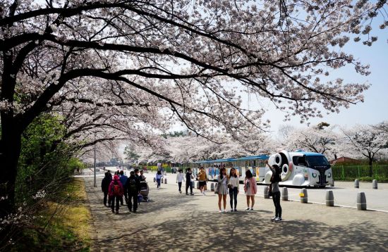 서울대공원 세계 최고 AZA 인증 도전…6月 닷새간 평가