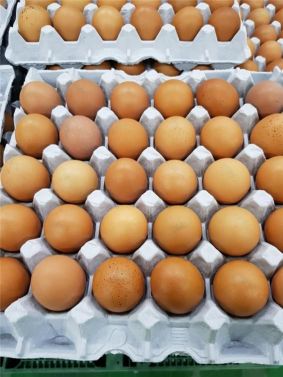 경기도 '계란 한 개 더 먹기' 소비촉진운동 펼친다
