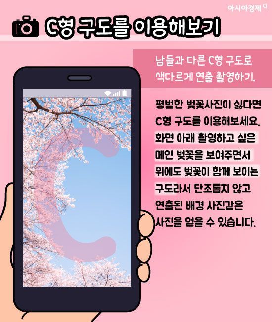 [카드뉴스]"내 벚꽃만 칙칙해ㅠㅠ"...벚꽃 사진 잘 찍는 법 7가지