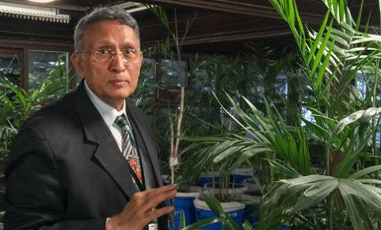 미세먼지 지옥, 공기청정식물로 '미세먼지 0%' 만든 CEO의 비밀