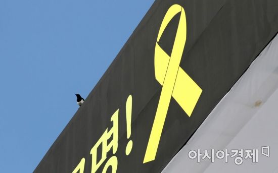 세월호 '기억공간' 이달 중순께 착공…광화문 천막 다음 주 철거