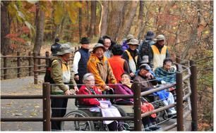 국립공원관리공단 "교통약자 위한 '무장애 탐방로' 71곳으로 확대"