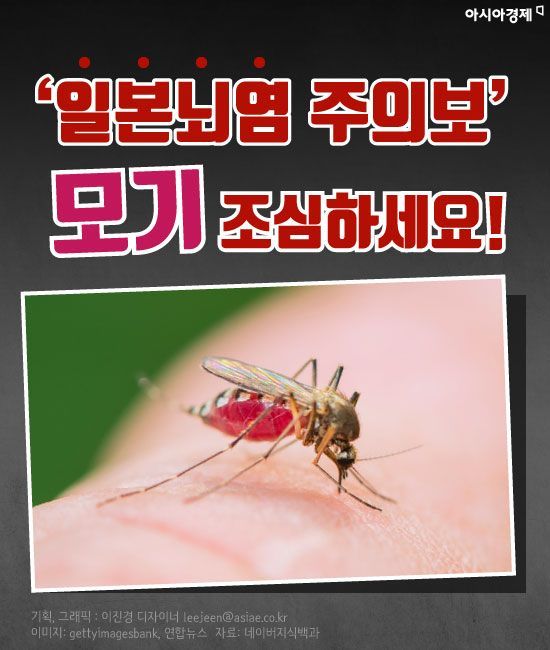 [카드뉴스]'일본뇌염 주의보' 모기 조심하세요!