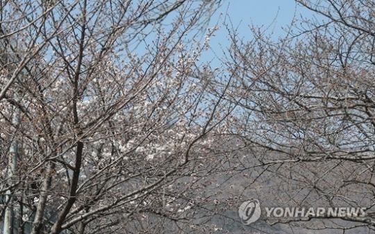 [오늘 날씨] 포근한 봄날…미세먼지 곳곳 '나쁨'