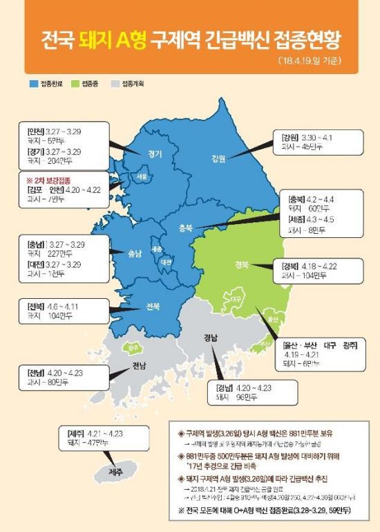 농식품부 "전국 모든 돼지, A형 구제역 백신 1차 접종 이달말까지 완료"