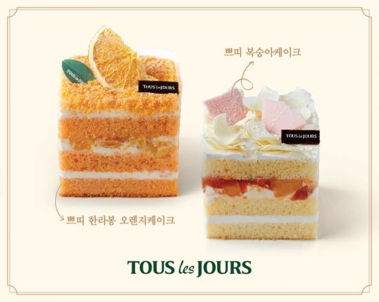 1인가구 위한 맞춤 케이크 나왔다…뚜레쥬르, 1인용 생크림 케이크 출시