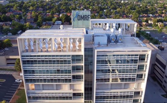 [과학을 읽다]②빌딩풍을 에너지로