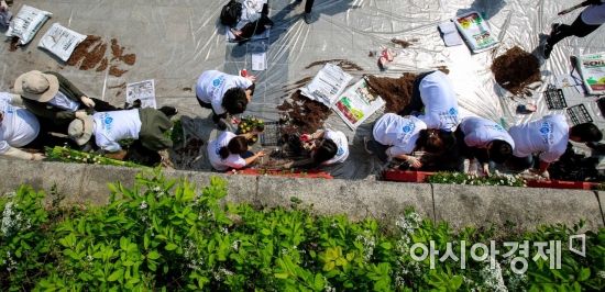 [포토] 청계천에 마련된 쌈지정원