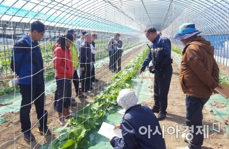 신안군, 단호박 현장컨설팅 「행복농업 이동상담 장터」운영